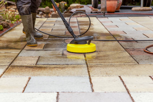 Animal Enclosure Cleaning in West Livingston, TX