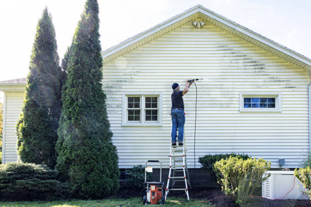 Best Fence Cleaning  in West Livingston, TX